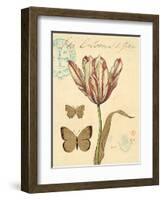 Tulip Curiosity-Chad Barrett-Framed Art Print