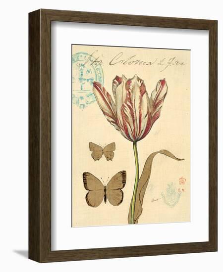 Tulip Curiosity-Chad Barrett-Framed Art Print