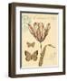 Tulip Curiosity-Chad Barrett-Framed Art Print