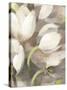 Tulip Delight II-Hristova Albena-Stretched Canvas