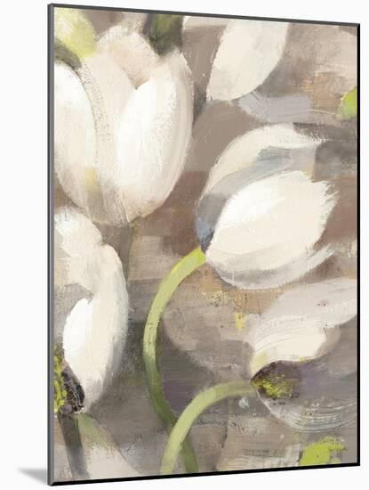Tulip Delight II-Hristova Albena-Mounted Premium Giclee Print