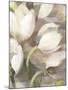 Tulip Delight II-Hristova Albena-Mounted Art Print