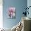 Tulip Dream II-Ella Lancaster-Mounted Giclee Print displayed on a wall