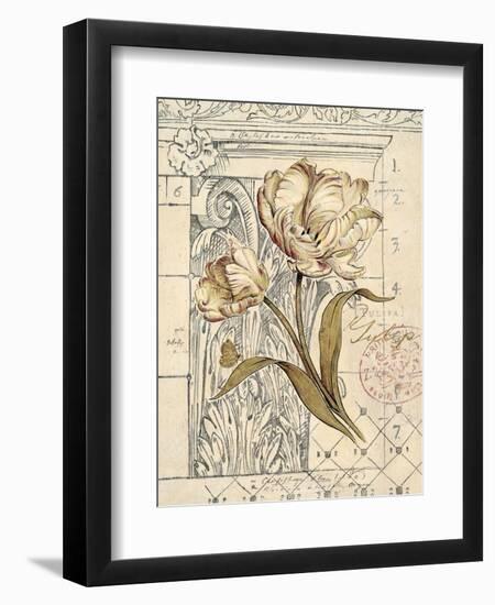 Tulip Etching-Chad Barrett-Framed Art Print