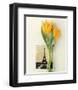 Tulip, Euro-Floral-Dorothy Gaubert Pyle-Framed Art Print