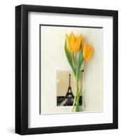 Tulip, Euro-Floral-Dorothy Gaubert Pyle-Framed Art Print