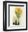 Tulip, Euro-Floral-Dorothy Gaubert Pyle-Framed Art Print