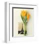 Tulip, Euro-Floral-Dorothy Gaubert Pyle-Framed Art Print