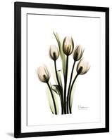 Tulip Family Portrait-Albert Koetsier-Framed Art Print