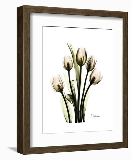 Tulip Family Portrait-Albert Koetsier-Framed Art Print