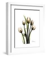 Tulip Family Portrait-Albert Koetsier-Framed Art Print