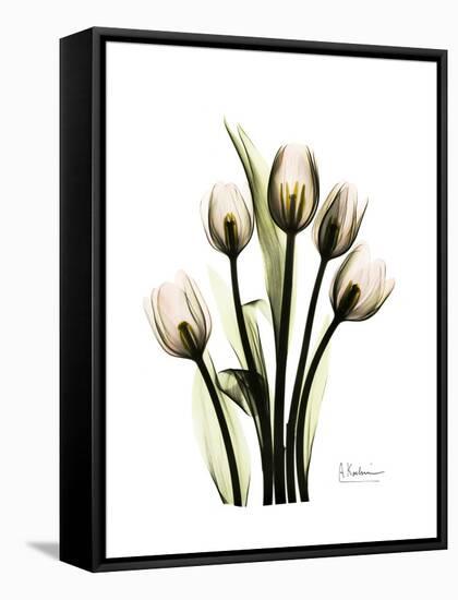 Tulip Family Portrait-Albert Koetsier-Framed Stretched Canvas