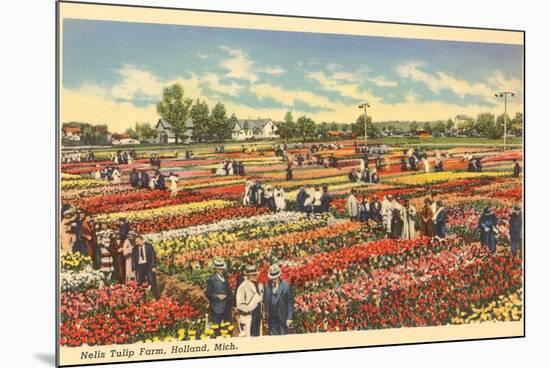 Tulip Farm, Holland, Michigan-null-Mounted Premium Giclee Print