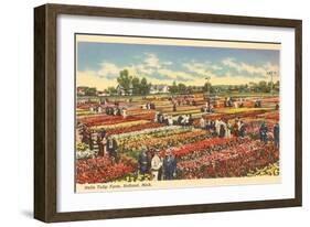 Tulip Farm, Holland, Michigan-null-Framed Art Print