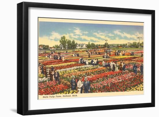 Tulip Farm, Holland, Michigan-null-Framed Art Print