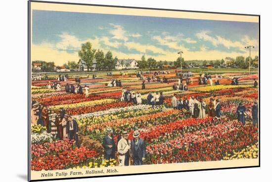 Tulip Farm, Holland, Michigan-null-Mounted Art Print