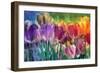 Tulip Farm-Mindy Sommers-Framed Giclee Print