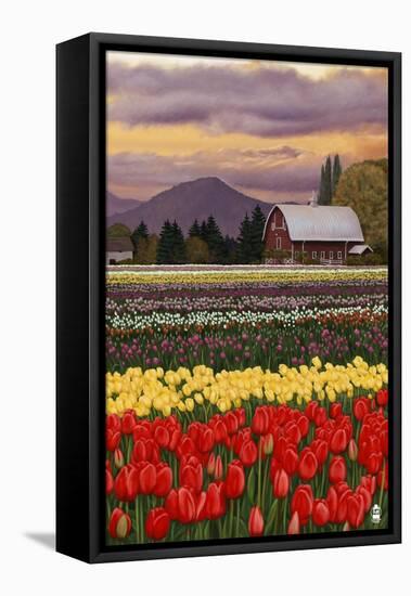 Tulip Farm-Lantern Press-Framed Stretched Canvas