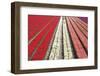 Tulip Field 32-ErikdeGraaf-Framed Photographic Print