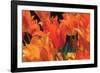 Tulip Field I-Alan Hausenflock-Framed Photographic Print