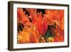 Tulip Field I-Alan Hausenflock-Framed Photographic Print