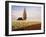 Tulip Field with Barn and Poplar Tree, Skagit Valley, Washington, USA-Charles Crust-Framed Premium Photographic Print