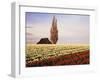 Tulip Field with Barn and Poplar Tree, Skagit Valley, Washington, USA-Charles Crust-Framed Premium Photographic Print