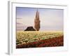 Tulip Field with Barn and Poplar Tree, Skagit Valley, Washington, USA-Charles Crust-Framed Photographic Print