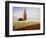 Tulip Field with Barn and Poplar Tree, Skagit Valley, Washington, USA-Charles Crust-Framed Photographic Print