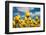 Tulip Field-ErikdeGraaf-Framed Photographic Print