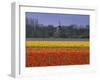 Tulip Fields and Windmill Near Keukenhof, Holland (The Netherlands), Europe-Gavin Hellier-Framed Premium Photographic Print