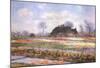 Tulip Fields at Sasenheim-Claude Monet-Mounted Art Print