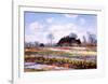 Tulip Fields at Sasenheim-Claude Monet-Framed Art Print