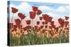 Tulip Fields, Holland, Michigan-null-Stretched Canvas