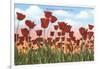 Tulip Fields, Holland, Michigan-null-Framed Art Print
