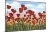 Tulip Fields, Holland, Michigan-null-Mounted Art Print