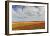 Tulip Fields in Holland-AndreAnita-Framed Photographic Print