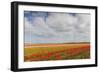 Tulip Fields in Holland-AndreAnita-Framed Photographic Print