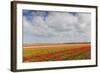 Tulip Fields in Holland-AndreAnita-Framed Photographic Print