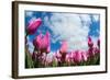 Tulip Fields in Holland-AndreAnita-Framed Photographic Print