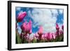 Tulip Fields in Holland-AndreAnita-Framed Photographic Print