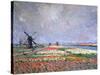 Tulip Fields Near Leiden, 1886-Claude Monet-Stretched Canvas