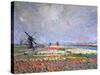 Tulip Fields Near Leiden, 1886-Claude Monet-Stretched Canvas