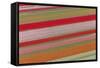 Tulip Fields, North Holland, Netherlands-Peter Adams-Framed Stretched Canvas