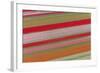 Tulip Fields, North Holland, Netherlands-Peter Adams-Framed Photographic Print