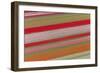 Tulip Fields, North Holland, Netherlands-Peter Adams-Framed Photographic Print