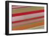 Tulip Fields, North Holland, Netherlands-Peter Adams-Framed Photographic Print