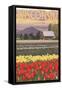 Tulip Fields - Wisconsin-Lantern Press-Framed Stretched Canvas