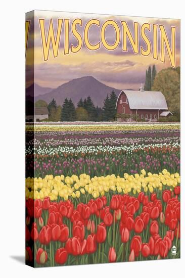 Tulip Fields - Wisconsin-Lantern Press-Stretched Canvas