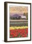 Tulip Fields - Wisconsin-Lantern Press-Framed Art Print